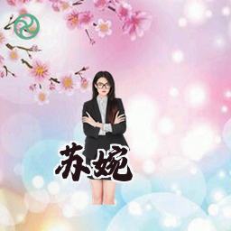 苏婉